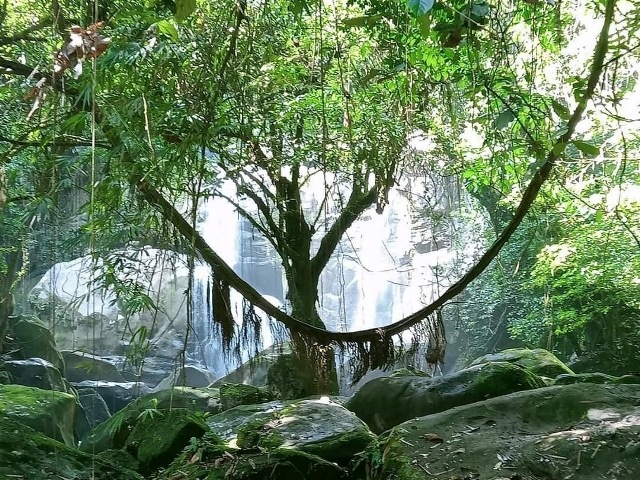 WOW Kuching @ 5D4N - Departure Into Unknown Lands